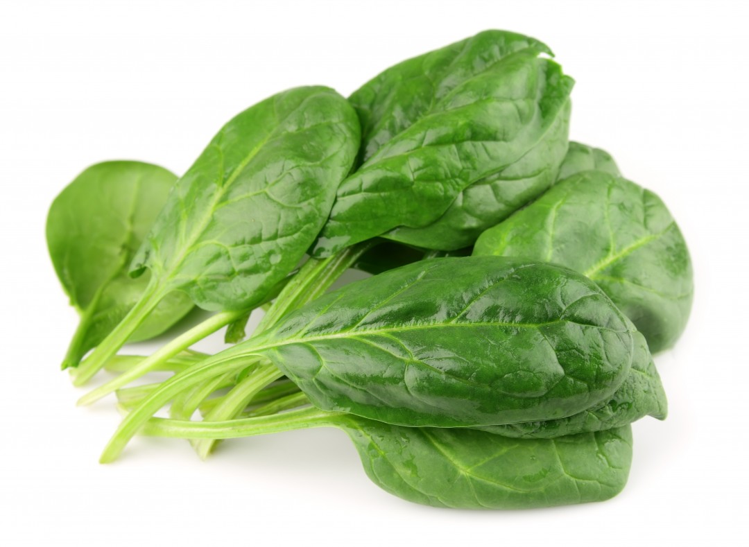 加工绿叶蔬菜-洗涤不足以减轻大肠杆菌
