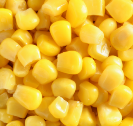 GROWING DEMAND FOR HIGH-QUALITY IQF SWEET CORN