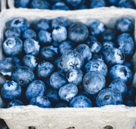 FREEZING IQF BLUEBERRIES WITH THE OCTOFROST™ TUNNEL FREEZER
