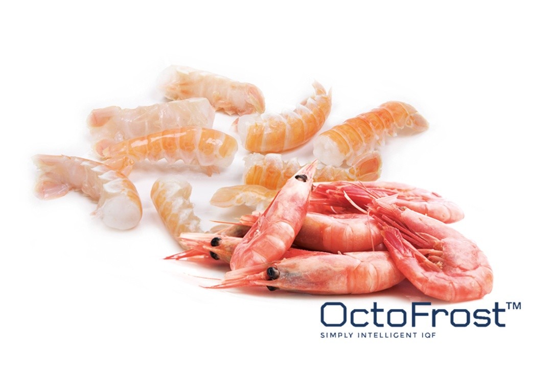 NEW TRENDS IN THE IQF INDUSTRY: IQF SEAFOOD