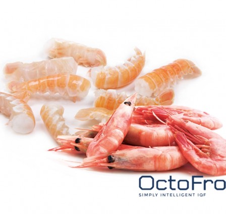 NEW TRENDS IN THE IQF INDUSTRY: IQF SEAFOOD