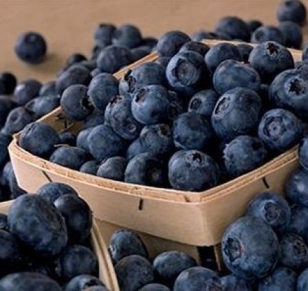 OVERVIEW OF THE WORLD’S FRESH AND FROZEN BLUEBERRY MARKET