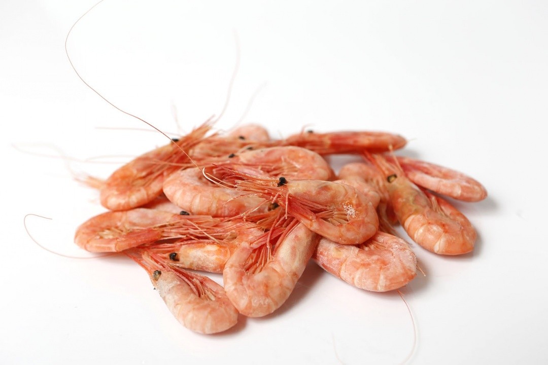 FREEZING SHRIMP - CHALLENGES AND OPPORTUNITIES